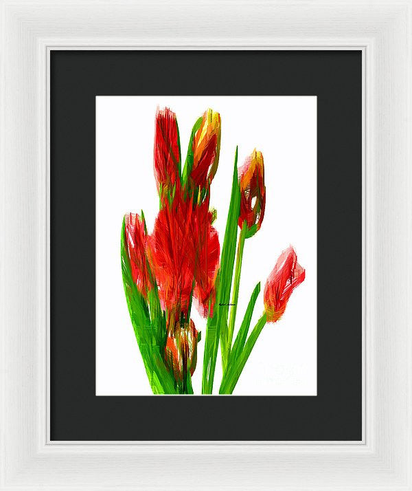 Framed Print - Red Tulips