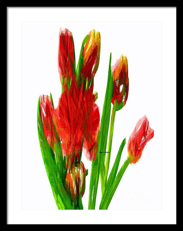 Framed Print - Red Tulips