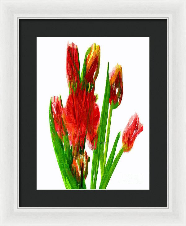 Framed Print - Red Tulips