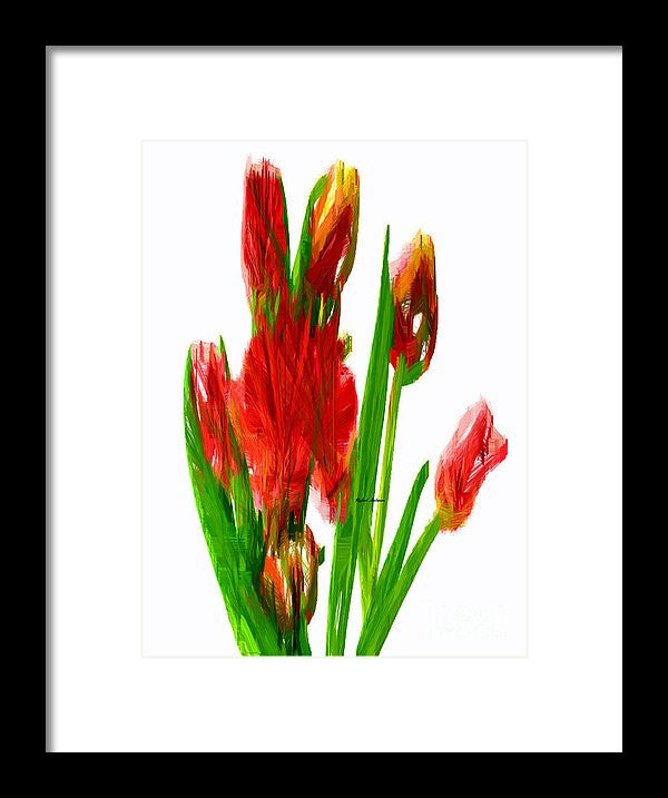 Framed Print - Red Tulips