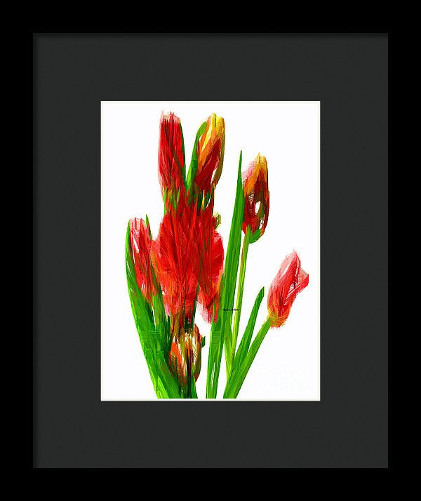 Framed Print - Red Tulips