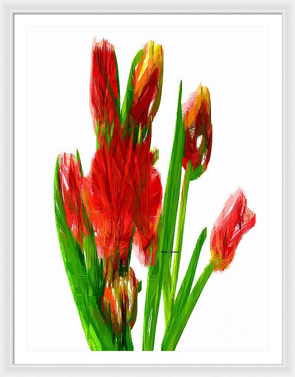 Framed Print - Red Tulips