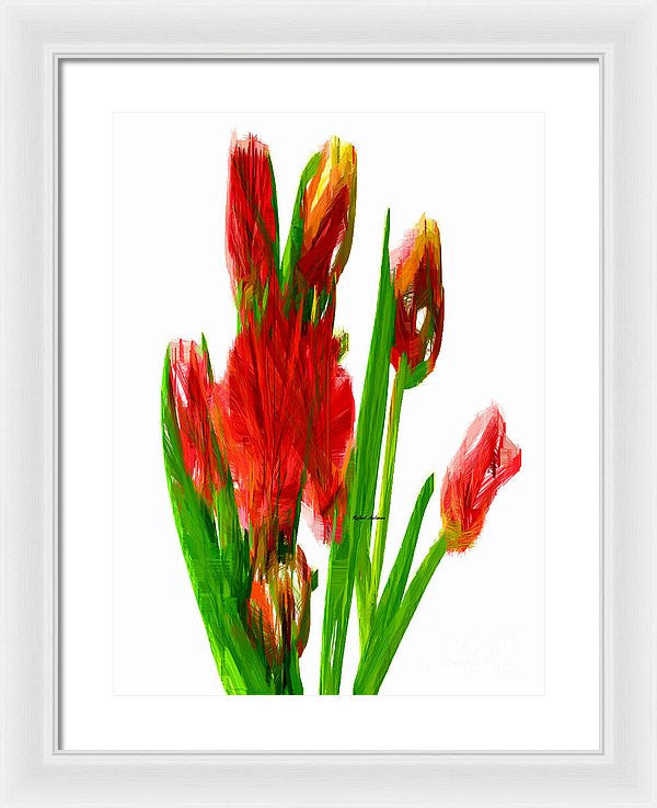 Framed Print - Red Tulips