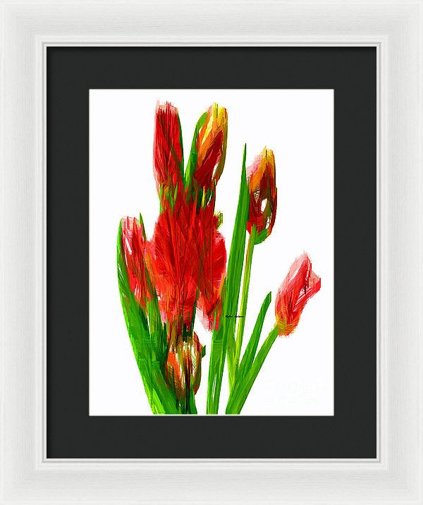 Framed Print - Red Tulips