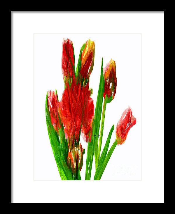 Framed Print - Red Tulips