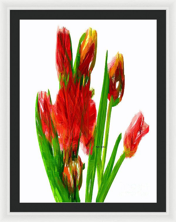 Framed Print - Red Tulips