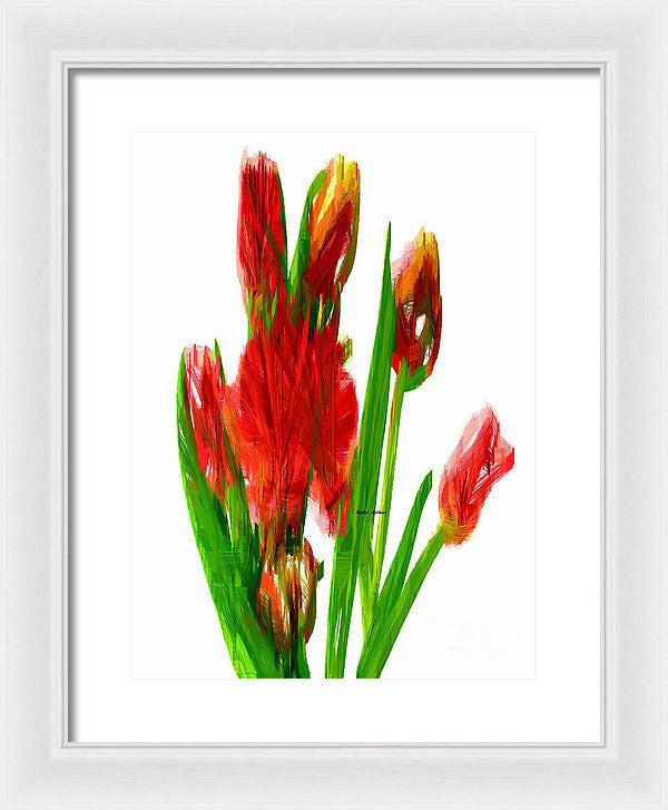 Framed Print - Red Tulips