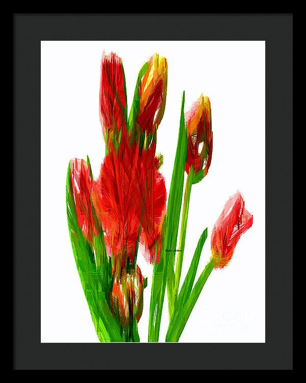 Framed Print - Red Tulips