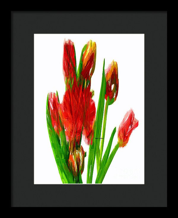 Framed Print - Red Tulips