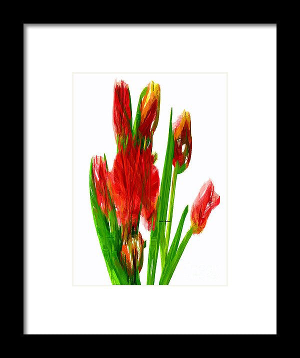 Framed Print - Red Tulips