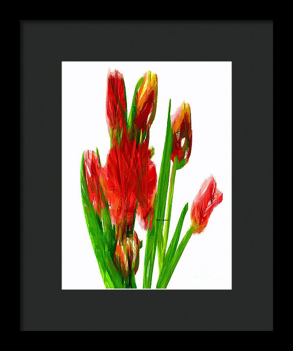 Framed Print - Red Tulips