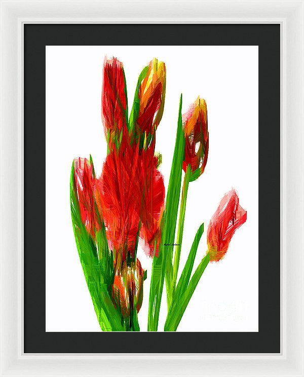 Framed Print - Red Tulips