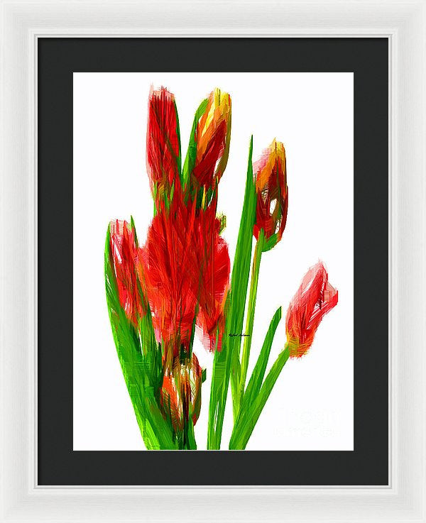 Framed Print - Red Tulips