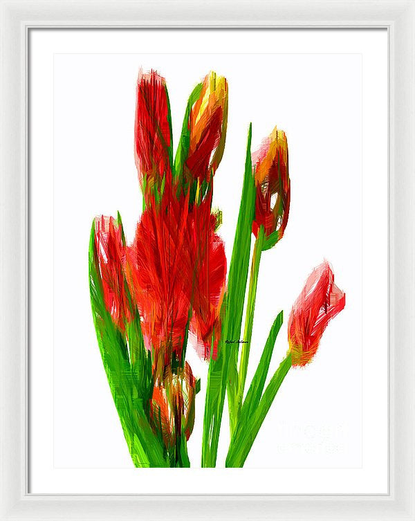 Framed Print - Red Tulips