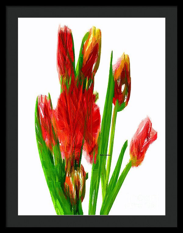 Framed Print - Red Tulips