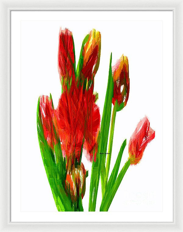 Framed Print - Red Tulips