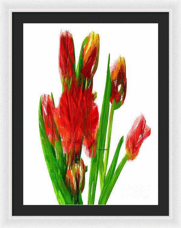 Framed Print - Red Tulips