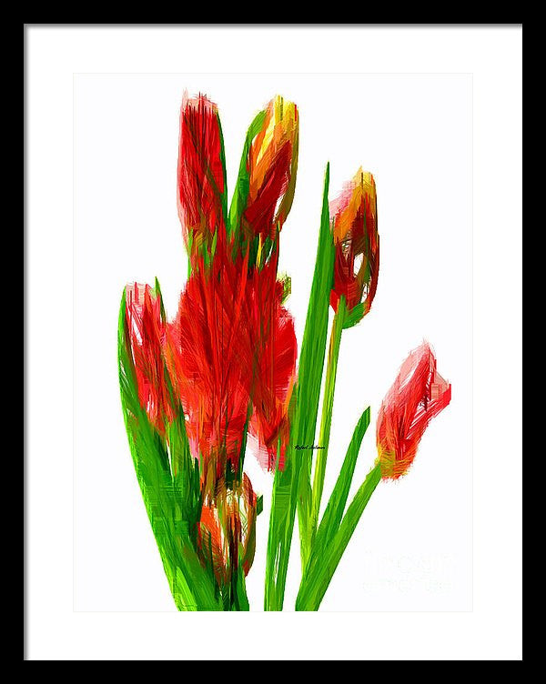 Framed Print - Red Tulips