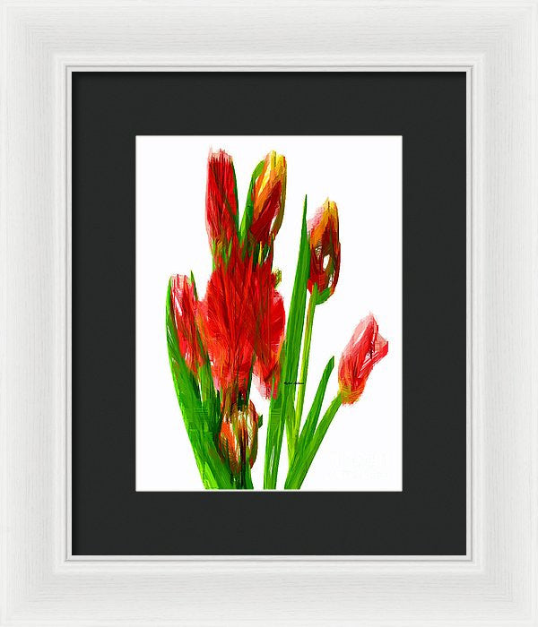 Framed Print - Red Tulips