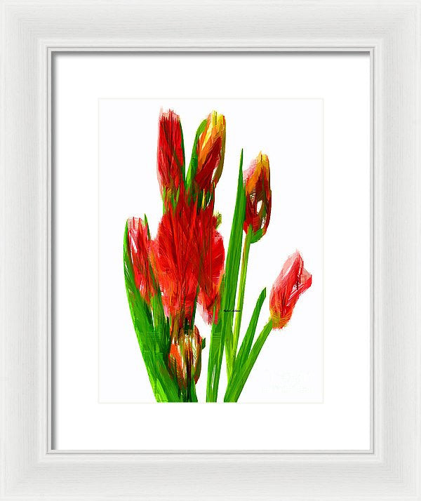 Framed Print - Red Tulips