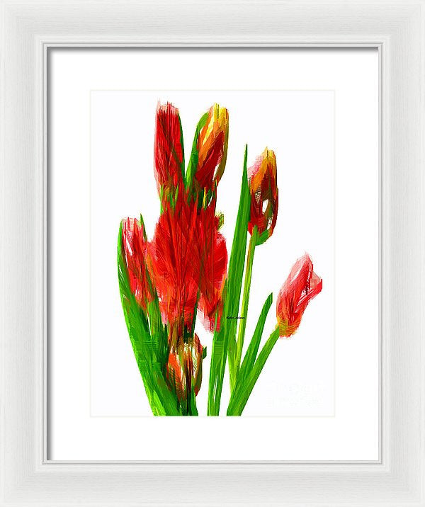 Framed Print - Red Tulips