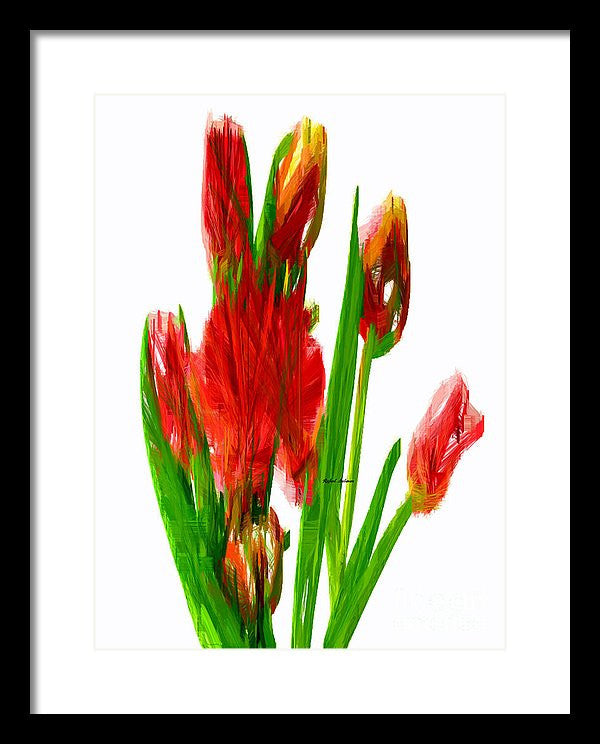 Framed Print - Red Tulips