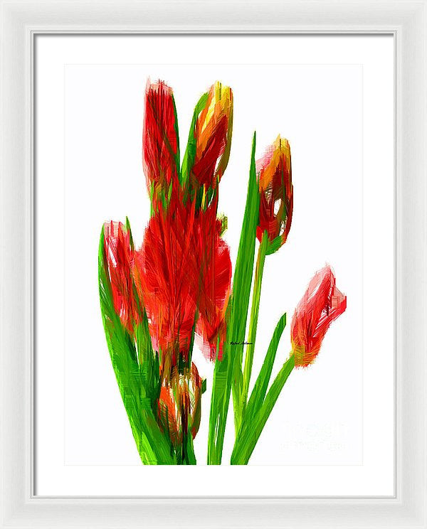 Framed Print - Red Tulips