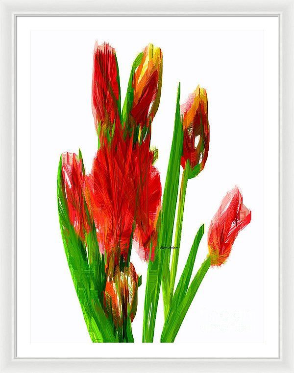 Framed Print - Red Tulips