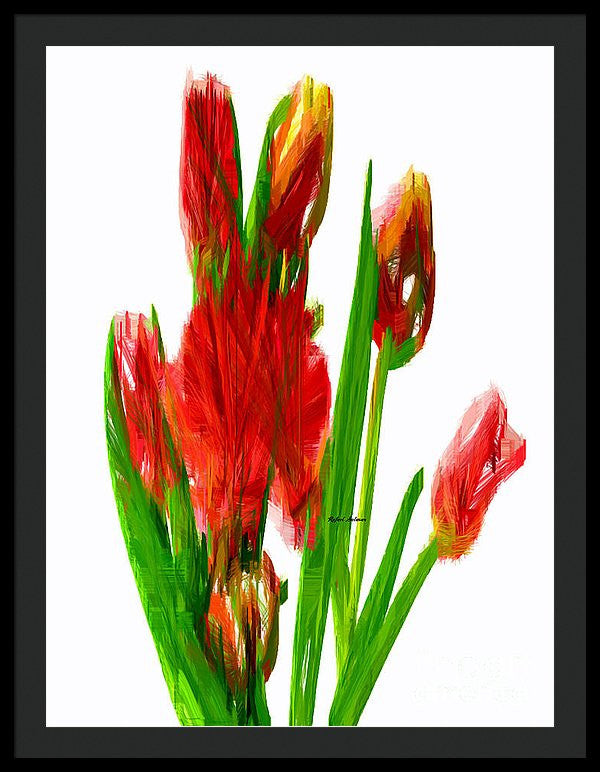 Framed Print - Red Tulips