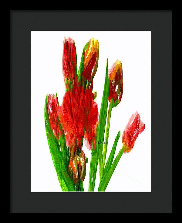 Framed Print - Red Tulips