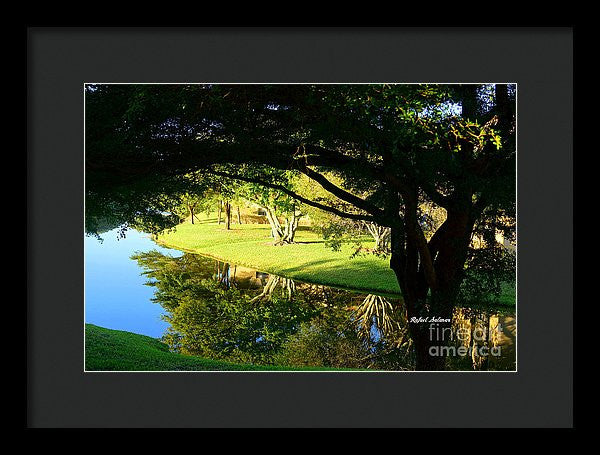 Framed Print - Reflections In The Morning