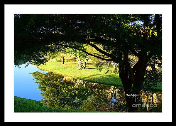 Framed Print - Reflections In The Morning