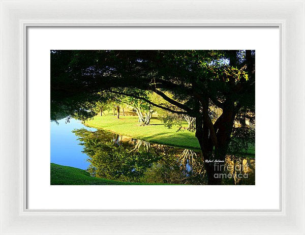 Framed Print - Reflections In The Morning