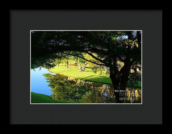 Framed Print - Reflections In The Morning