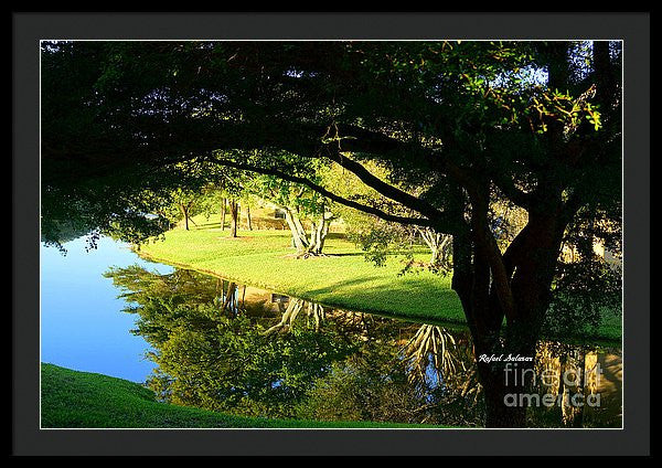 Framed Print - Reflections In The Morning