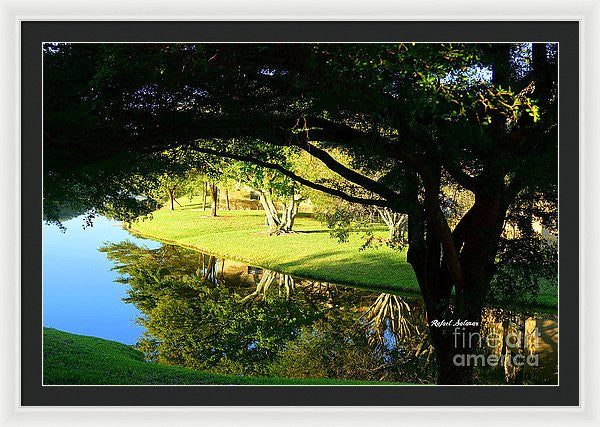 Framed Print - Reflections In The Morning