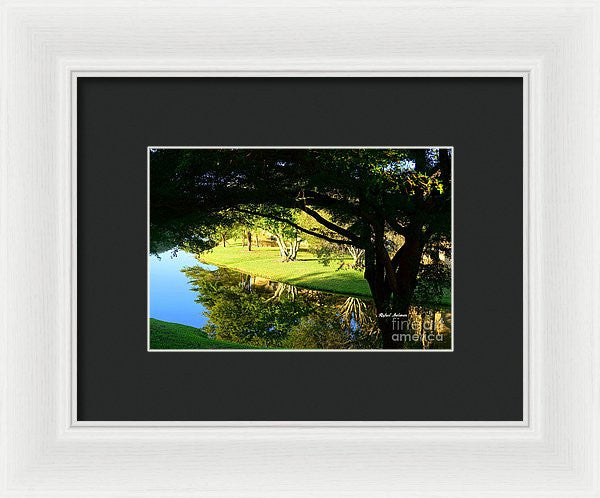 Framed Print - Reflections In The Morning