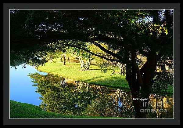 Framed Print - Reflections In The Morning