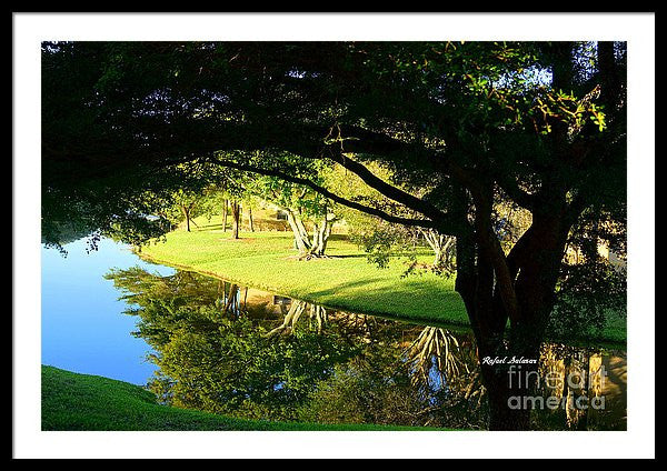 Framed Print - Reflections In The Morning