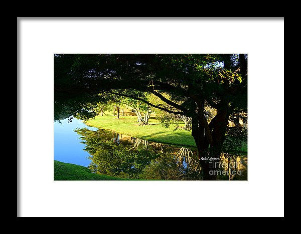 Framed Print - Reflections In The Morning