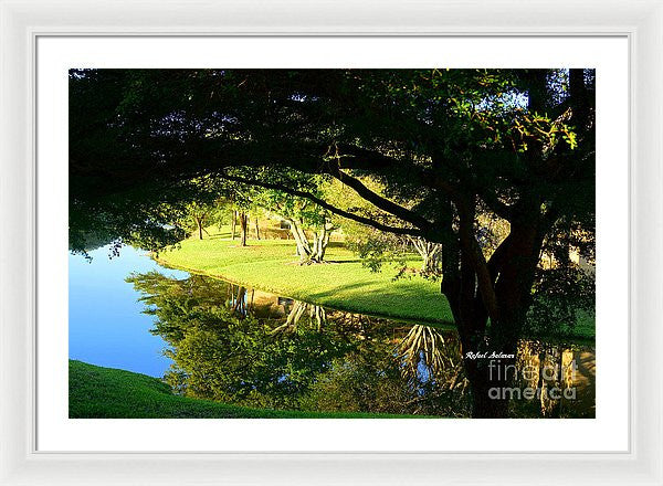 Framed Print - Reflections In The Morning