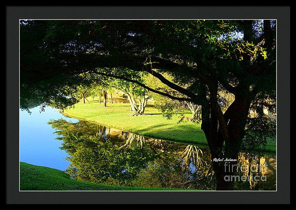 Framed Print - Reflections In The Morning