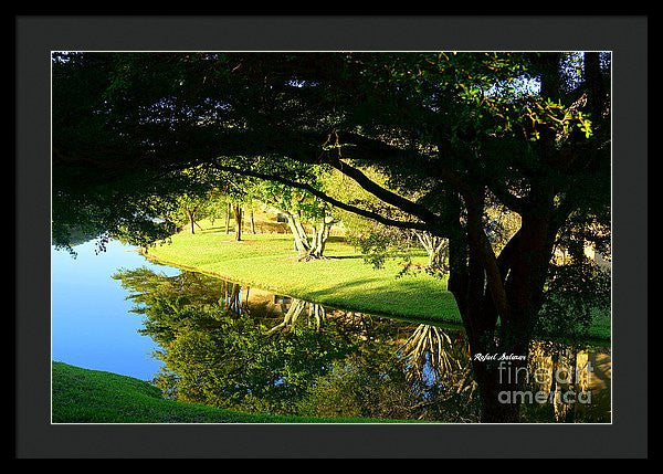 Framed Print - Reflections In The Morning