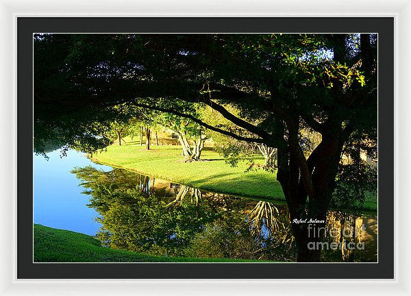 Framed Print - Reflections In The Morning