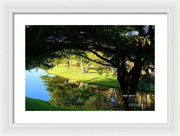 Framed Print - Reflections In The Morning