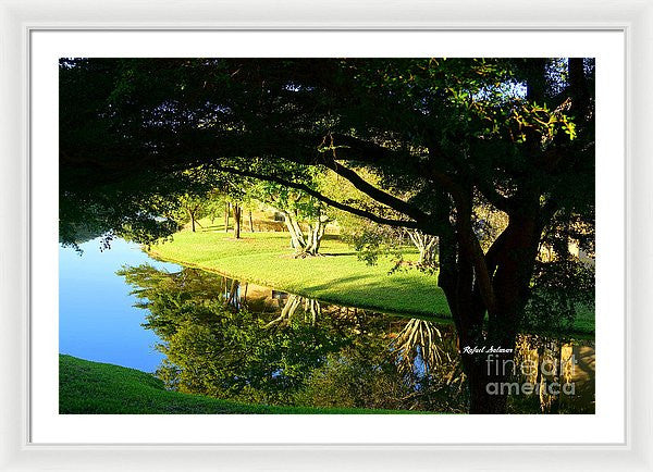 Framed Print - Reflections In The Morning