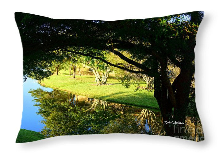 Throw Pillow - Reflections In The Morning