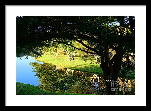 Framed Print - Reflections In The Morning