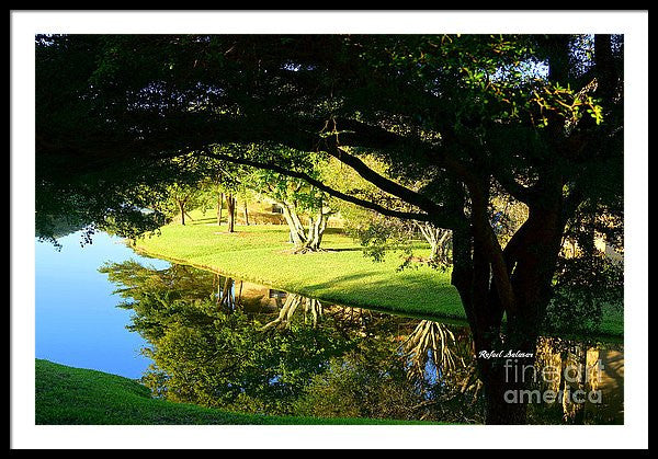 Framed Print - Reflections In The Morning