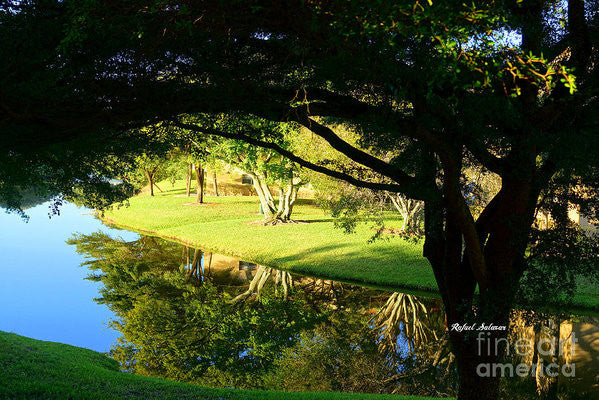 Art Print - Reflections In The Morning